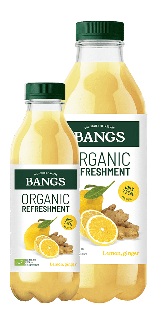 lemon ginger drinks