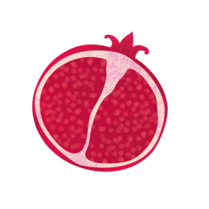 pomegranate illustration